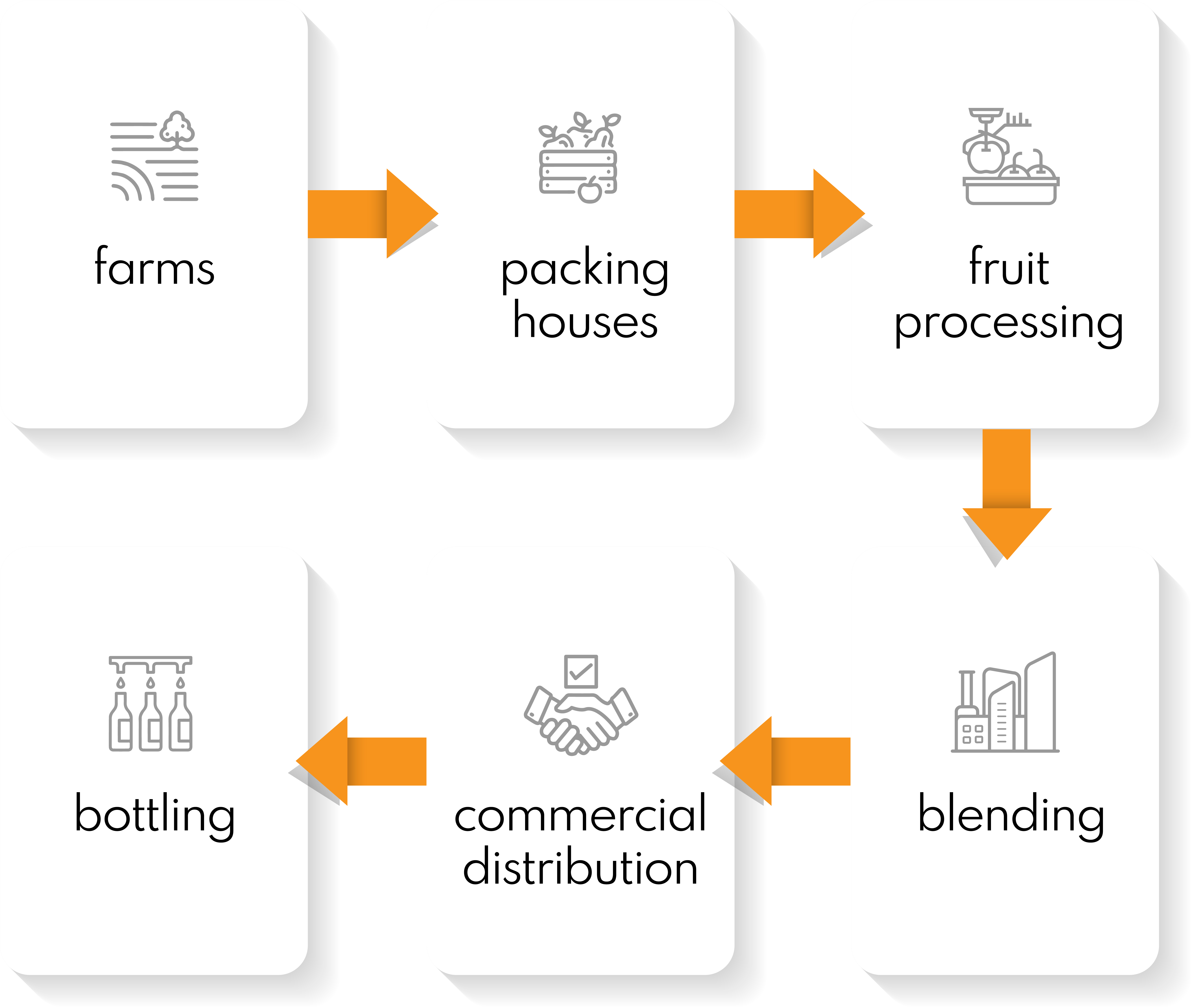 Infographic for citrus path