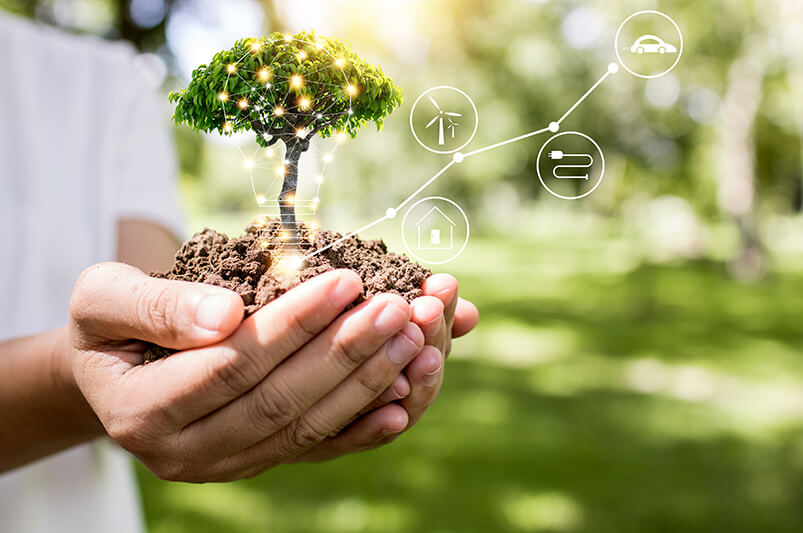 Photo of woman holding tiny tree